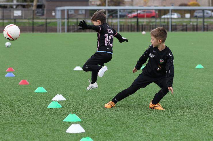 klik hier voor de originele foto (356kB - 1600x1067)