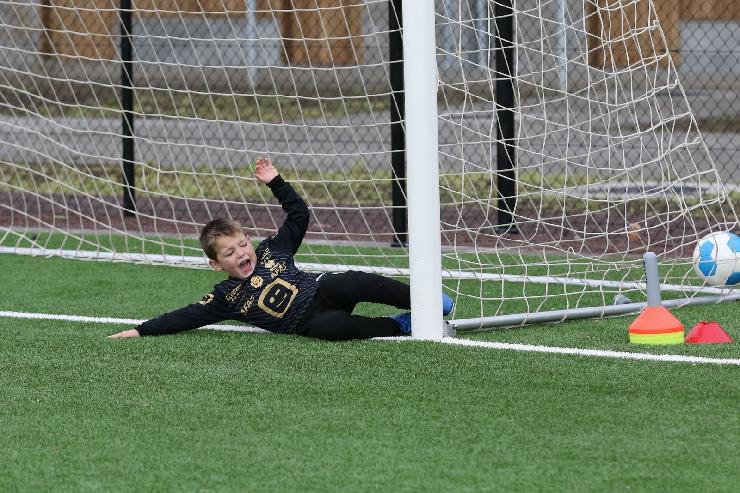 klik hier voor de originele foto (476kB - 1600x1068)