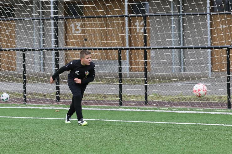 klik hier voor de originele foto (522kB - 1600x1068)