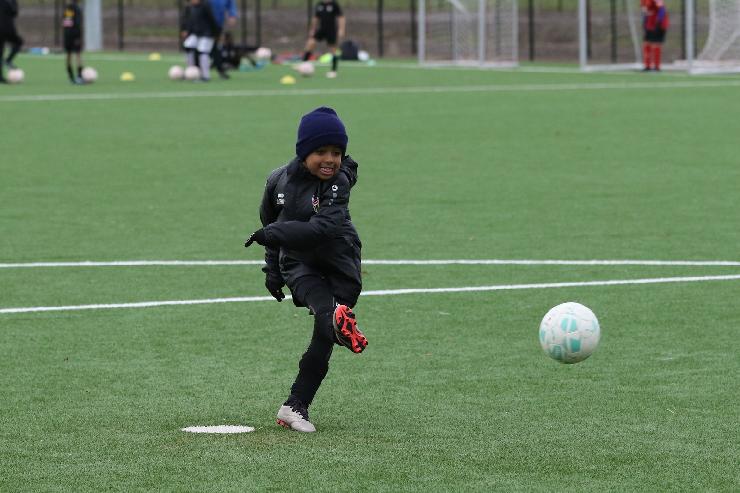 klik hier voor de originele foto (340kB - 1600x1068)