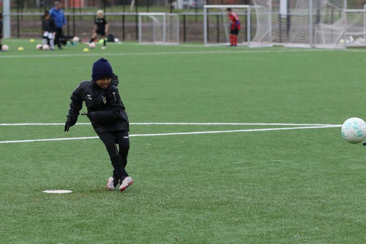 klik hier voor de originele foto (356kB - 1600x1068)