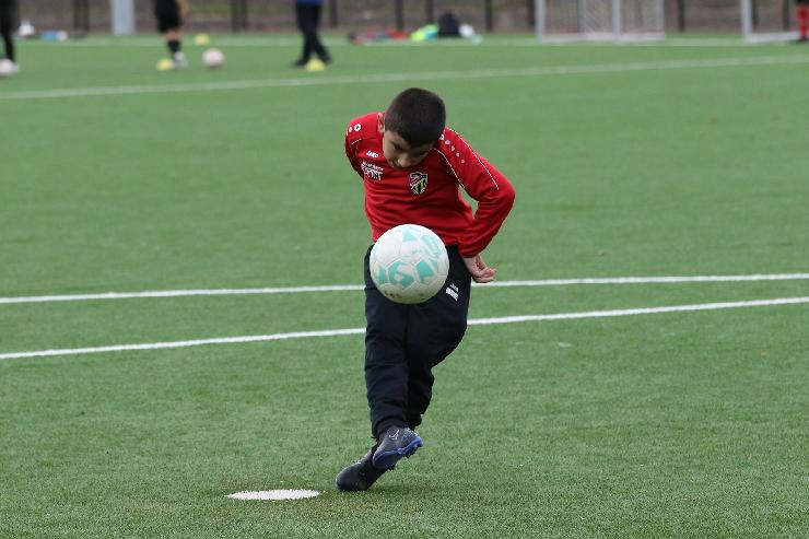 klik hier voor de originele foto (313kB - 1600x1068)