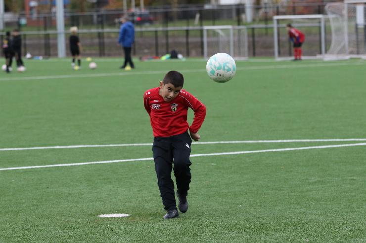 klik hier voor de originele foto (300kB - 1600x1068)