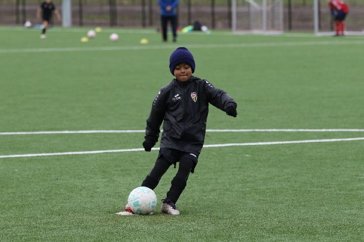 klik hier voor de originele foto (300kB - 1600x1068)