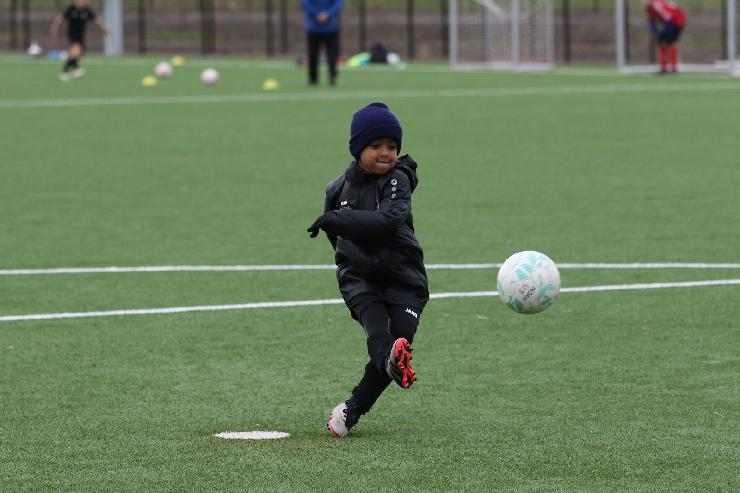 klik hier voor de originele foto (294kB - 1600x1068)