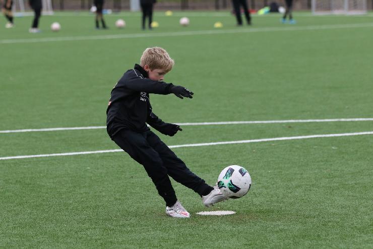 klik hier voor de originele foto (306kB - 1600x1068)