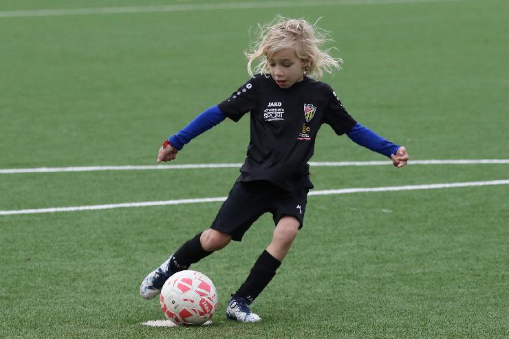 klik hier voor de originele foto (296kB - 1600x1067)