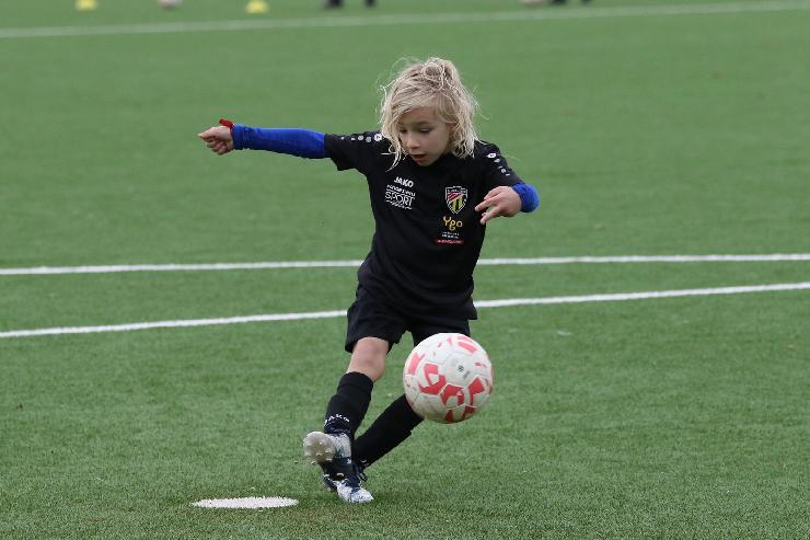 klik hier voor de originele foto (309kB - 1600x1067)