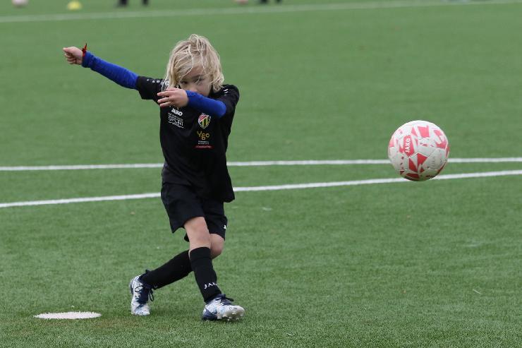 klik hier voor de originele foto (285kB - 1600x1068)