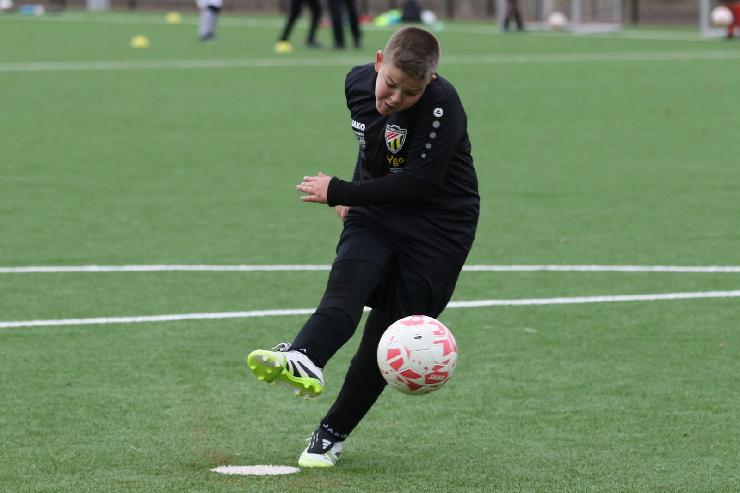 klik hier voor de originele foto (246kB - 1600x1068)