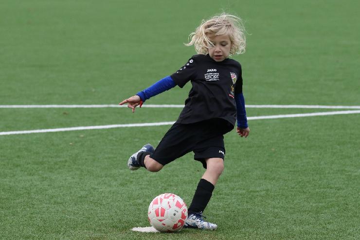 klik hier voor de originele foto (294kB - 1600x1068)