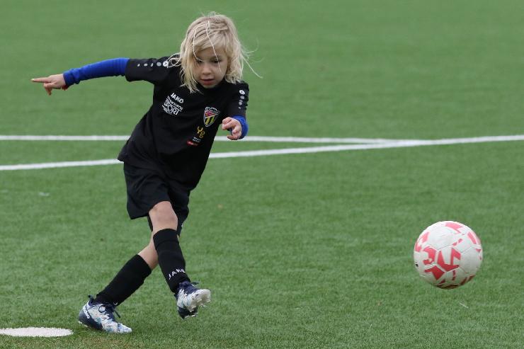 klik hier voor de originele foto (271kB - 1600x1068)