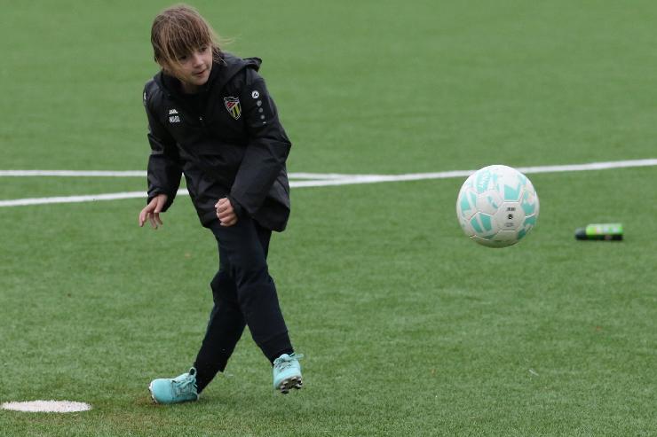 klik hier voor de originele foto (265kB - 1600x1068)