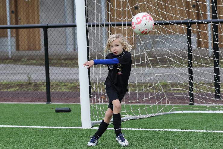 klik hier voor de originele foto (408kB - 1600x1068)