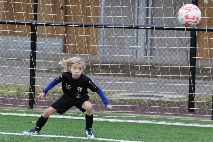 klik hier voor de originele foto (385kB - 1600x1068)