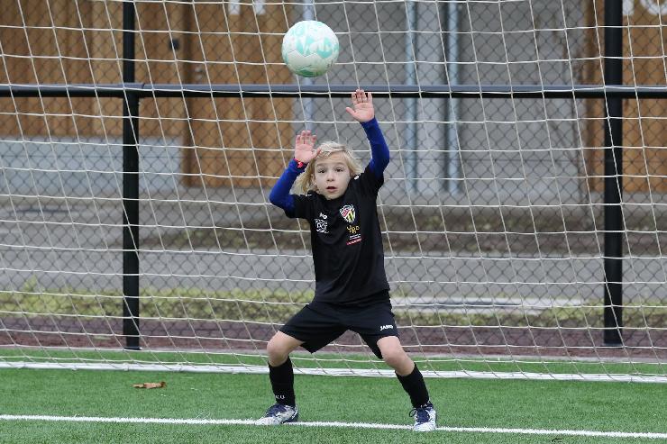 klik hier voor de originele foto (419kB - 1600x1068)