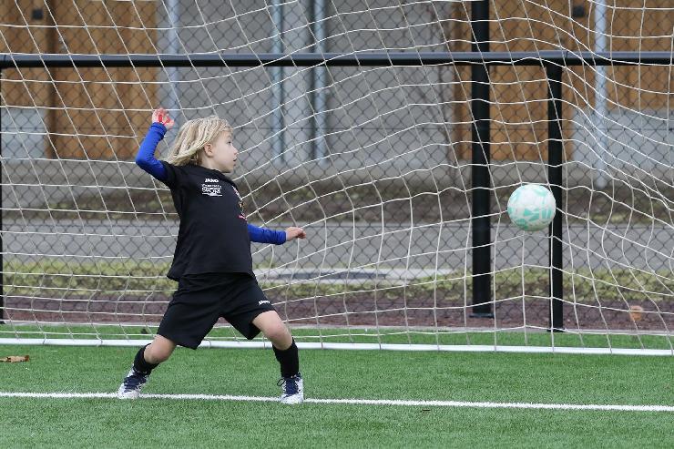 klik hier voor de originele foto (492kB - 1600x1068)