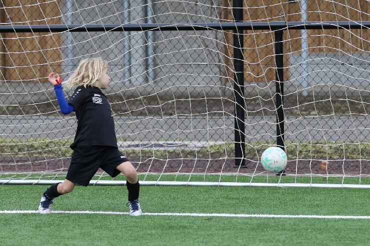 klik hier voor de originele foto (537kB - 1600x1068)