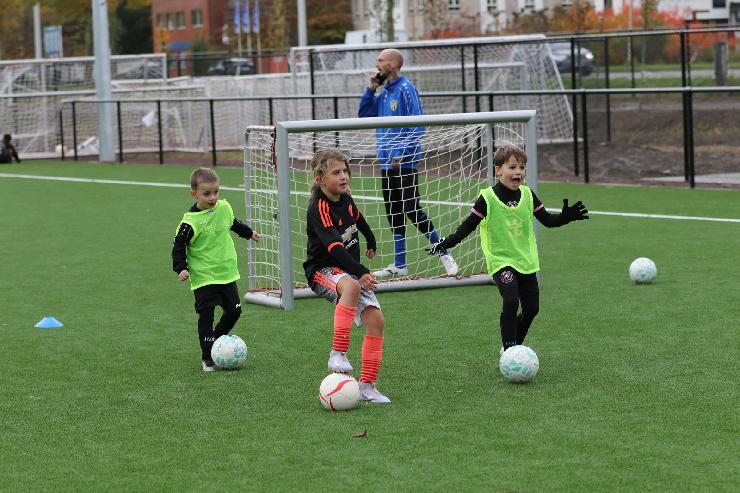 klik hier voor de originele foto (416kB - 1600x1067)