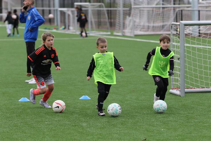 klik hier voor de originele foto (350kB - 1600x1067)