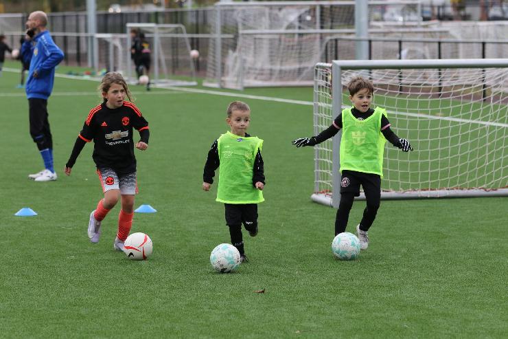 klik hier voor de originele foto (374kB - 1600x1067)