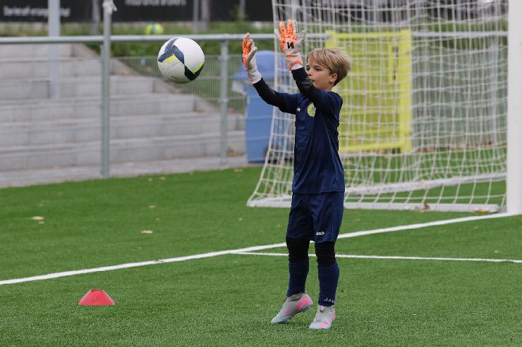 klik hier voor de originele foto (341kB - 1600x1068)