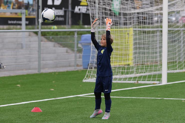 klik hier voor de originele foto (304kB - 1600x1068)