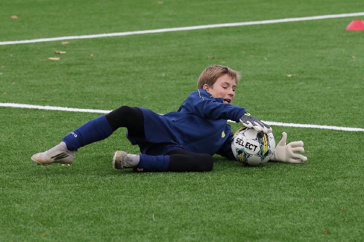 klik hier voor de originele foto (343kB - 1600x1068)