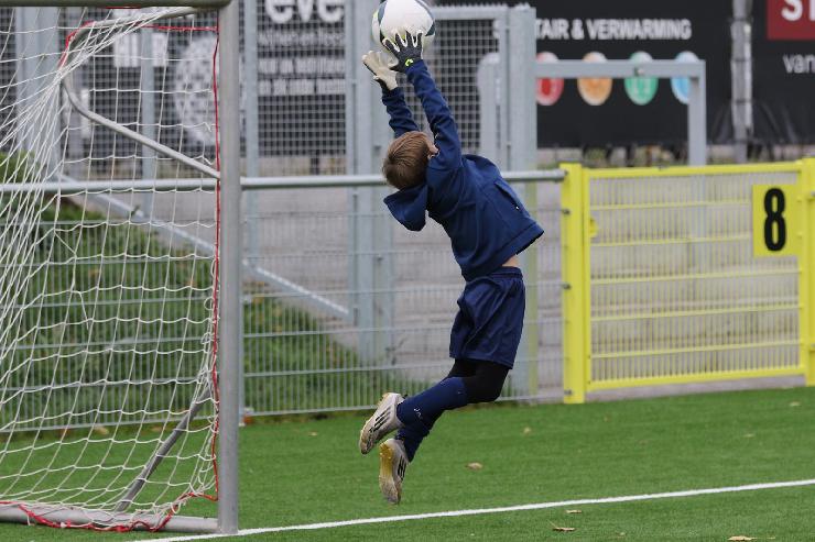 klik hier voor de originele foto (329kB - 1600x1068)