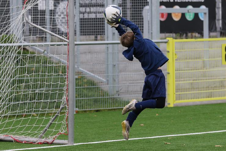 klik hier voor de originele foto (353kB - 1600x1068)