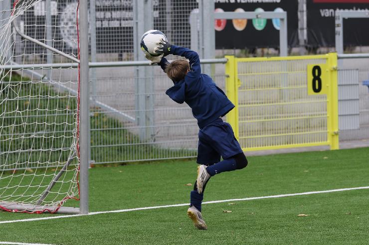 klik hier voor de originele foto (378kB - 1600x1068)