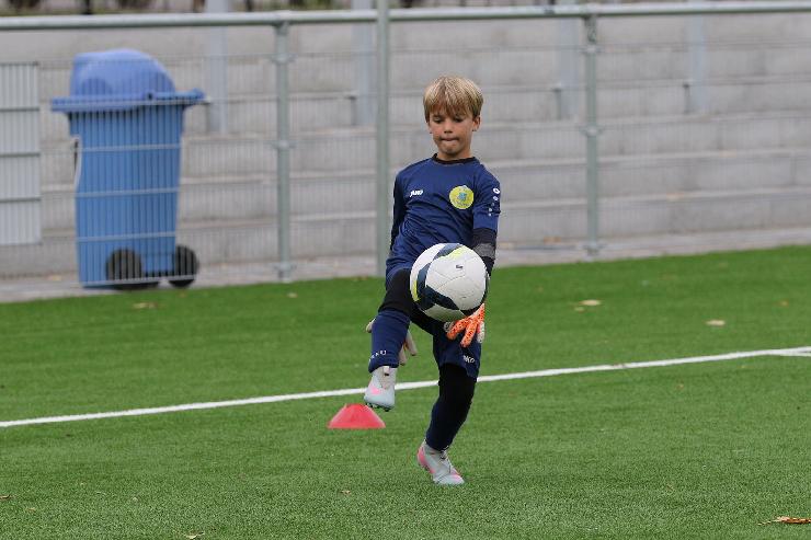 klik hier voor de originele foto (327kB - 1600x1068)