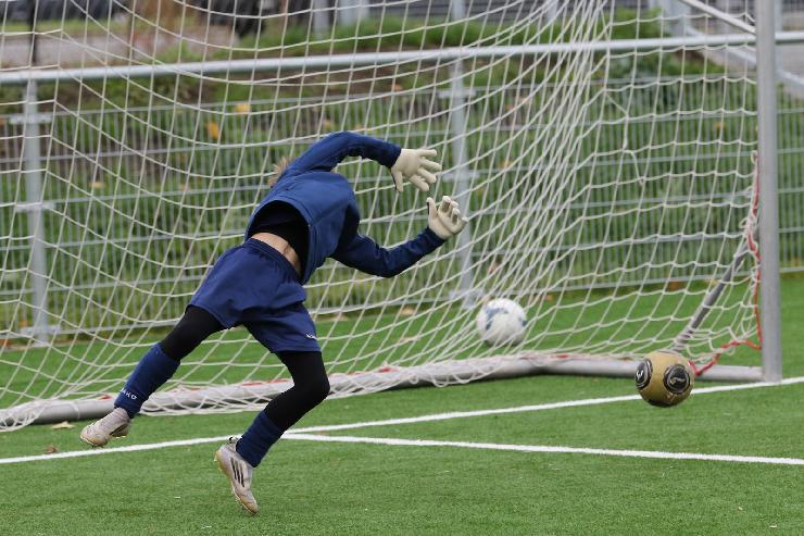 klik hier voor de originele foto (392kB - 1600x1068)