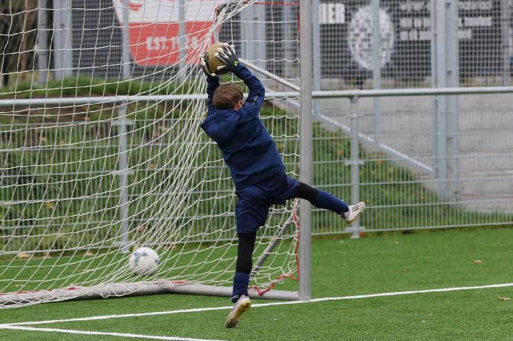 klik hier voor de originele foto (425kB - 1600x1068)