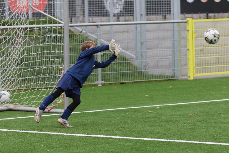 klik hier voor de originele foto (377kB - 1600x1068)