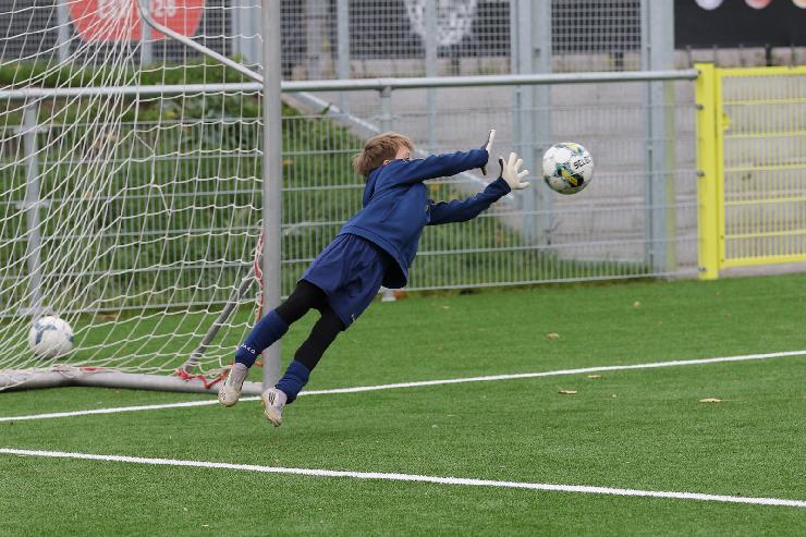 klik hier voor de originele foto (429kB - 1600x1068)