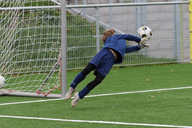 klik hier voor de originele foto (375kB - 1600x1068)