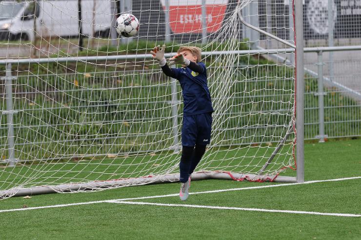 klik hier voor de originele foto (496kB - 1600x1067)