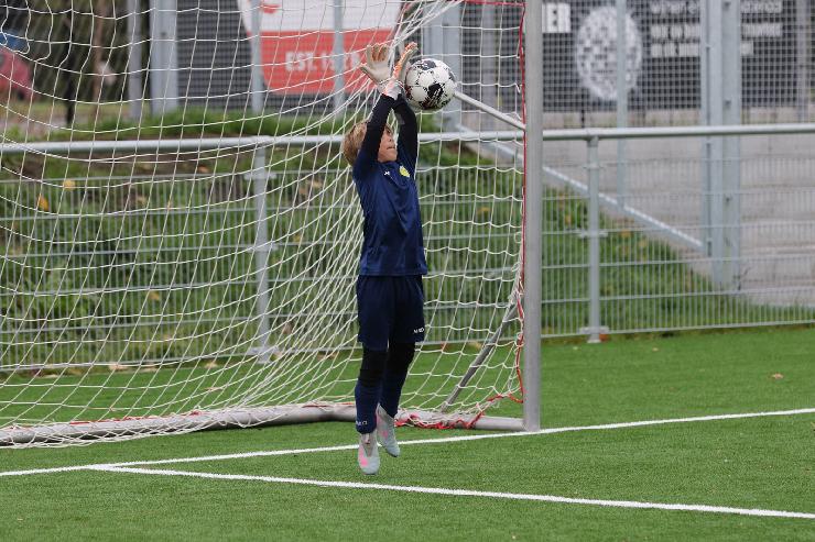 klik hier voor de originele foto (453kB - 1600x1067)