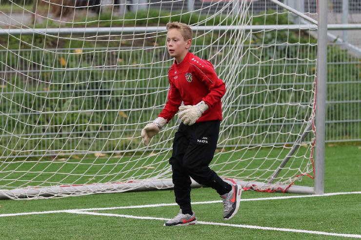 klik hier voor de originele foto (445kB - 1600x1068)