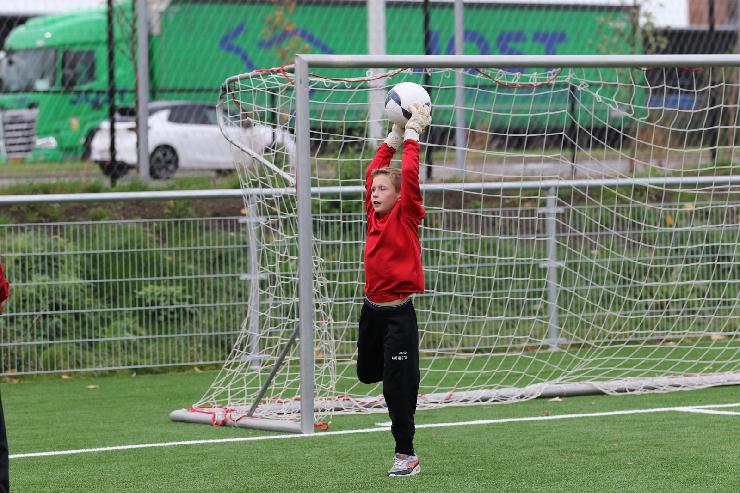 klik hier voor de originele foto (427kB - 1600x1067)