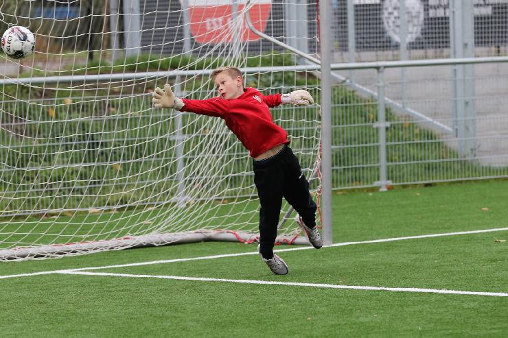 klik hier voor de originele foto (413kB - 1600x1067)