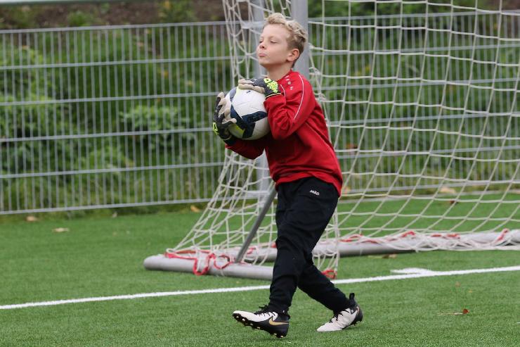 klik hier voor de originele foto (346kB - 1600x1068)