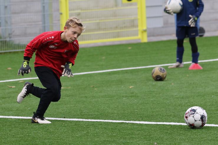 klik hier voor de originele foto (278kB - 1600x1068)