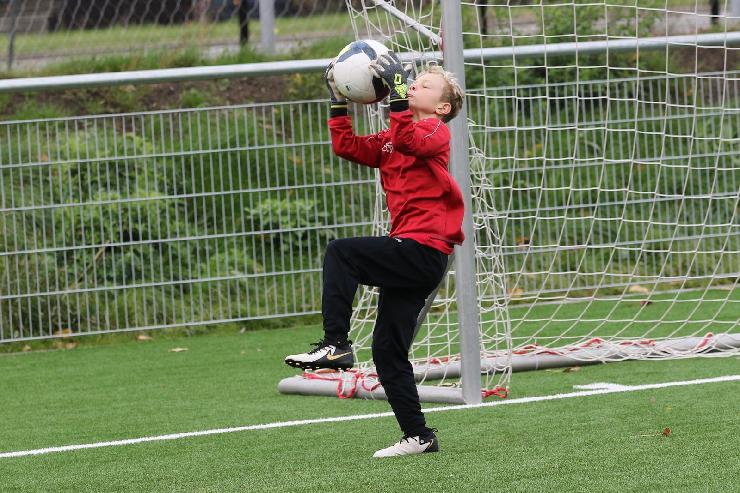 klik hier voor de originele foto (447kB - 1600x1068)