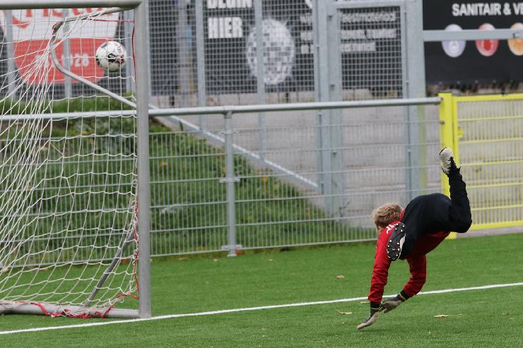 klik hier voor de originele foto (371kB - 1600x1068)