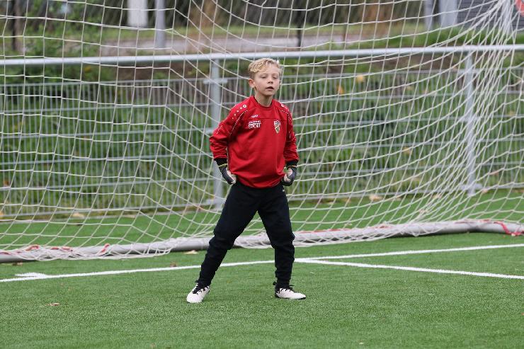 klik hier voor de originele foto (450kB - 1600x1067)