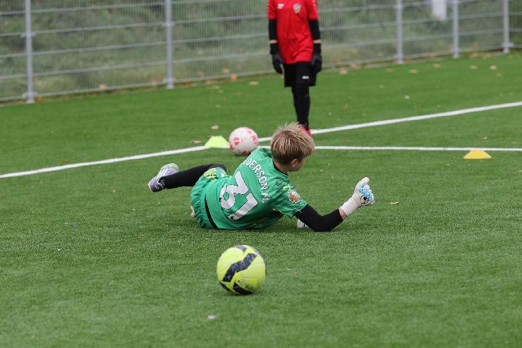 klik hier voor de originele foto (334kB - 1600x1067)