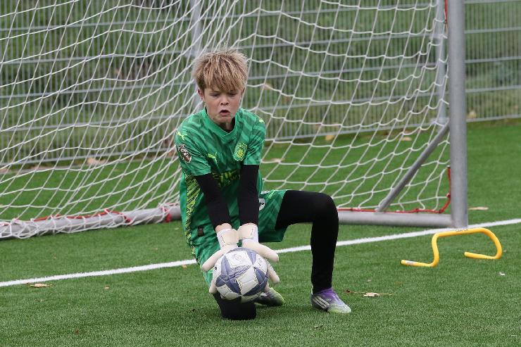 klik hier voor de originele foto (462kB - 1600x1068)