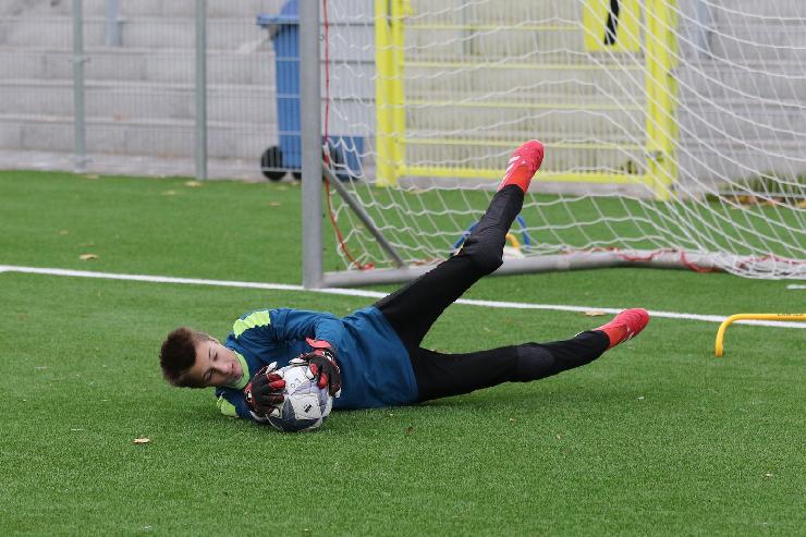 klik hier voor de originele foto (386kB - 1600x1068)